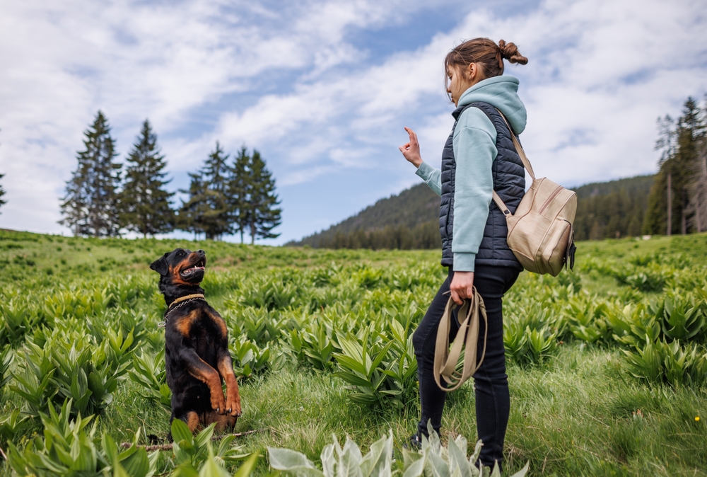 girl gives commands to her Rottweiler dog