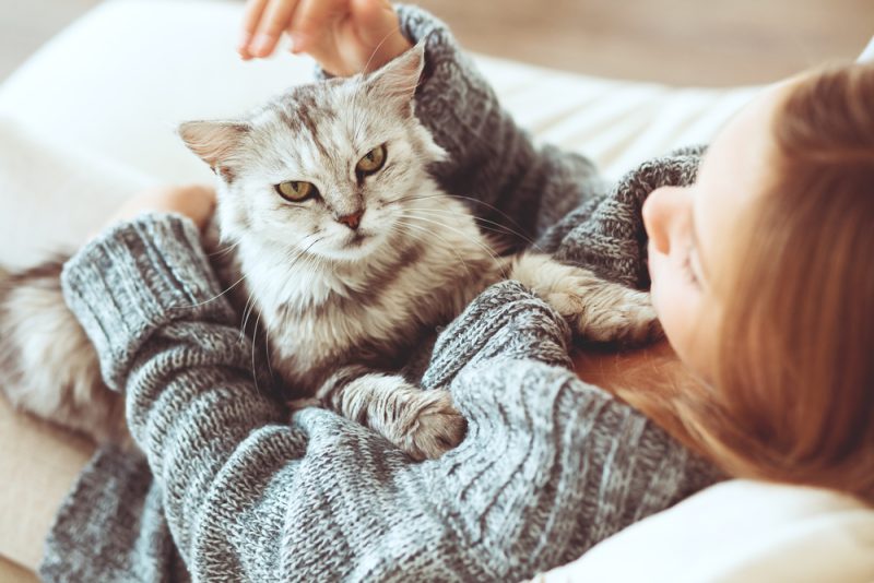 Child playing with cat at home